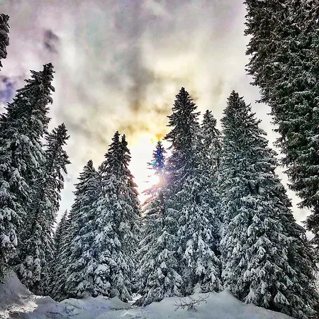 Appartement Studio Avoriaz דירה אבוריאז