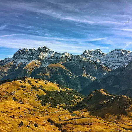 Appartement Studio Avoriaz